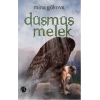 Düşmüş Melek