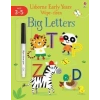 Early Years Wipe-Clean Big Letters