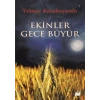 Ekinler Gece Büyür