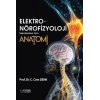ELEKTRO NÖROFİZYOLOJİ TEKNİKLERİ İÇİN ANATOMİ