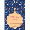 Emily’nin Arayışı (Bez Cilt)
