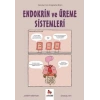 Endokrin ve Üreme Sistemleri – Gençler İçin Çizgilerle Bilim