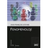 Fenomenoloji 73