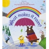 First Questions And Answers: What Makes It Rain?