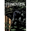 Frankenstein (Cilt 2)