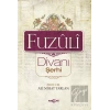 Fuzuli Divanı Şerhi