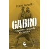 Gabro