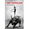 Geç Kapitalizm