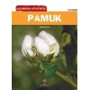 Geçmişten Günümüze - Pamuk