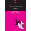 Gey ve Lezbiyen Yazını