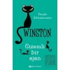 Gizemli Bir Ajan - Winston  (Ciltli)