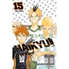 Haikyu!! 15. Cilt Yok Edici