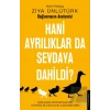 Hani Ayrılıklar da Sevdaya Dahildi?