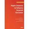 Hapis Cezasına ve İnfazına Seçenek Kurumlar