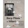 Harp Pilotu ve Silivri