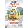 Hassas Kalpler Şehri