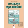 Hayvanların Yaşam Döngüleri - Gençler İçin Çizgilerle Bilim
