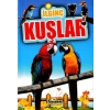 İlginç Kuşlar - İlginç Bilgiler Serisi