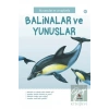 İlk Sorular ve Cevaplarla: Balinalar ve Yunuslar