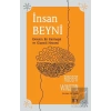İnsan Beyni