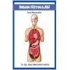 İnsan Fizyoolojisi