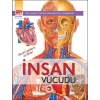 İnsan Vücudu