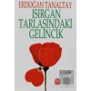 Isırgan Tarlasındaki Gelincik