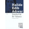 İstanbulda Bir Yabancı