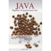 JAVA BİLGİSAYAR PROGRAMLAMAYA GİRİŞ -PALME