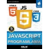 Javascript Programlama