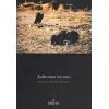 Kalkınma Sorunu