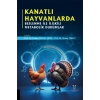 Kanatlı Hayvanlarda Beslenme ile İlişkili Metabolik Durumlar