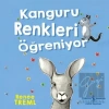 Kanguru Renkleri Öğreniyor