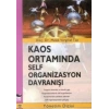 Kaos Ortamında Self Organizasyon Davranışı