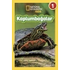 Kaplumbağalar - National Geographic Kids