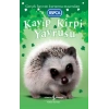Kayıp Kirpi Yavrusu