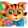 Kedi