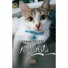 Kedi Aşkı