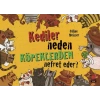 Kediler Neden Köpeklerden Nefret Eder?