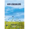 Kır Çiçekleri
