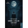 Kırık Camlar Gecesi