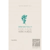 Kırık Kalbe Kırk Hadis - Dervişin Yolu 4