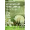 Koyunculukta Döl Verimini Artırmada Kullanılan Yöntemler