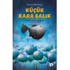 Küçük Kara Balık