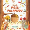 Küçük Meşe Palamudu