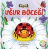 Küçük Uğur Böceği