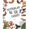 Kuyruklar Ne İşe Yarar?