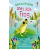 Life Cycles: One Little Frog