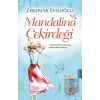 Mandalina Çekirdeği