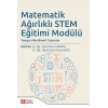 Matematik Ağırlıklı Stem Eğitimi Modülü